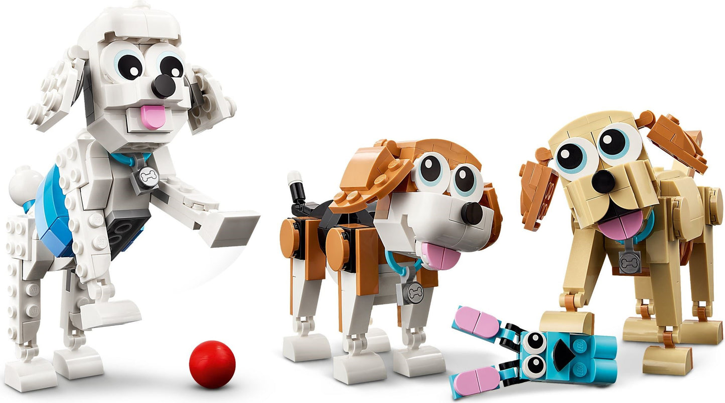 31137 Adorable Dogs